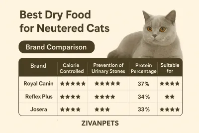 بهترین غذای خشک برای گربه‌های عقیم شده + مقایسه برندها